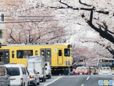 早安暖心話帶圖片 早上一句話暖心句子6