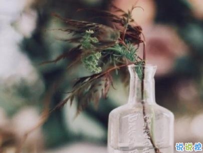 早安暖心話帶圖片 早上一句話暖心句子8