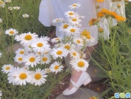 文藝古風(fēng)唯美句子 很有韻味的古風(fēng)說(shuō)說(shuō)1