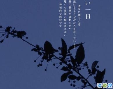 特別悲傷難過的說說配圖 傷透心流干淚的心情說說5