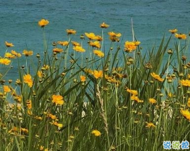 唯美文案簡短溫柔 唯美說說短句朋友圈1