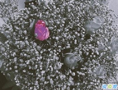 失眠朋友圈文案帶圖片 四下無(wú)人的夜最想聽(tīng)你的晚安2