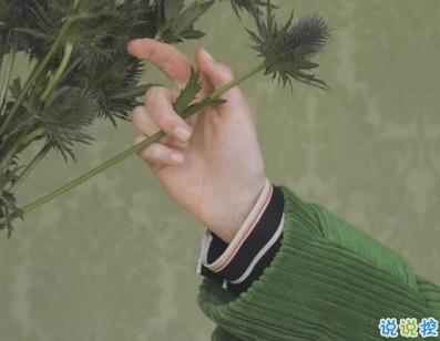 失眠朋友圈文案帶圖片 四下無(wú)人的夜最想聽(tīng)你的晚安9