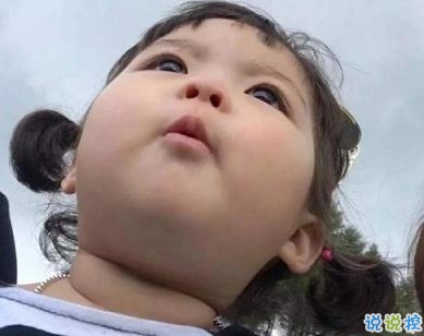 很有意思的可愛沙雕文案 適合日常發(fā)的可愛句子1