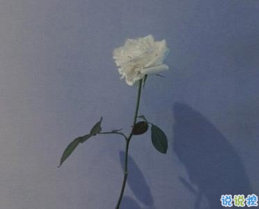 讓人心塞的傷感句子 朋友圈里能引起共鳴的傷感說說1