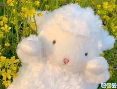 送給高考生的勵志文案 好好學習勵志說說帶圖片4