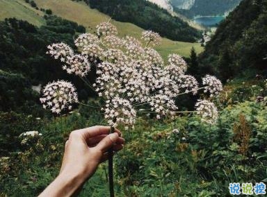 哲理句子簡短精辟 有內涵吸引人的哲理說說1