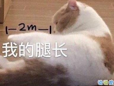 發(fā)朋友圈的沙雕文案 笑到窒息的說說句子1