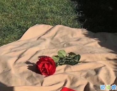 甜甜的歌詞文案 適合表白的歌詞句子超有感覺1