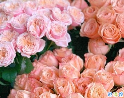 四月勵志短句致自己 2020四月加油朋友圈說說1