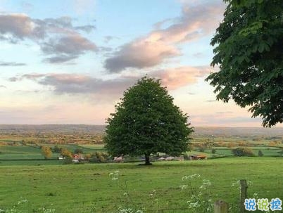 唯美文藝說說簡短帶圖片 別錯過落日與夕陽3