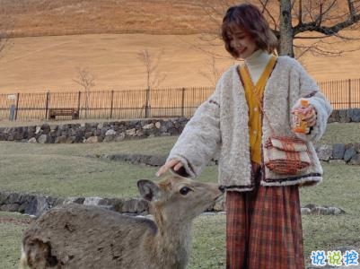 唯美文藝說說簡短帶圖片 別錯過落日與夕陽13