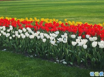 唯美文藝說說簡短帶圖片 別錯過落日與夕陽7