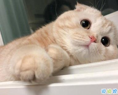 2020愚人節(jié)幽默短句 適合愚人節(jié)的搞笑幽默文案1