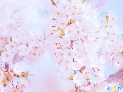 春天桃花盛開的說說帶圖片 賞花曬花的朋友圈文案11