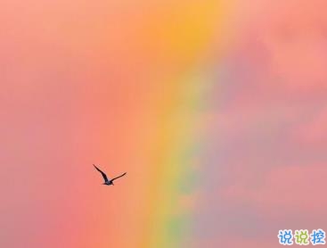 朋友圈最驚艷的短句合集 不念過(guò)往不畏將來(lái)1