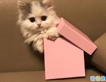 笑岔氣的幽默句子大全 微信搞笑說說簡短精辟1