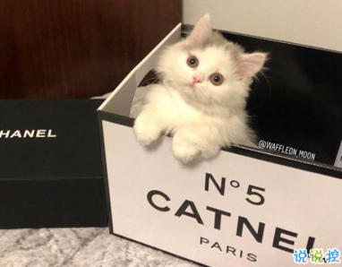 笑岔氣的幽默句子大全 微信搞笑說說簡短精辟2