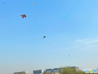 春天優(yōu)美文藝說說帶圖片 值得收藏的春季文案6