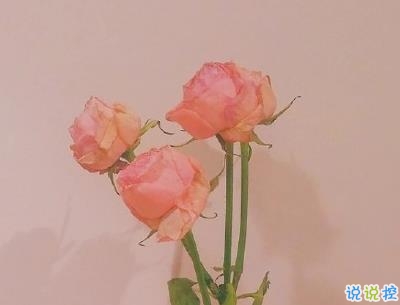 春天優(yōu)美文藝說說帶圖片 值得收藏的春季文案8