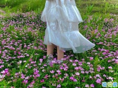 春天優(yōu)美文藝說說帶圖片 值得收藏的春季文案10