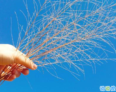 早安心語內(nèi)涵勵志 隱藏野心悄悄發(fā)光2