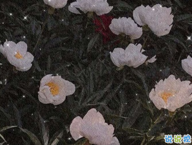 朋友圈難過文案 有點(diǎn)失望的心情說說1