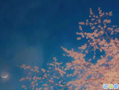 超級溫柔的春天說說帶圖片 抖音春天文案說說5