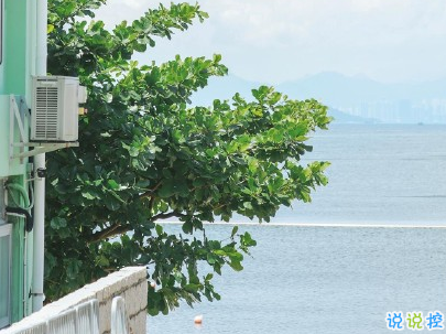 超級溫柔的春天說說帶圖片 抖音春天文案說說13