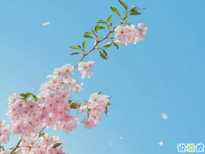 超級溫柔的春天說說帶圖片 抖音春天文案說說2