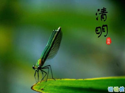 清明節(jié)說說心情短語帶圖片 2020清明節(jié)安康1