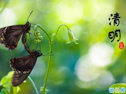 清明節(jié)說說心情短語帶圖片 2020清明節(jié)安康5