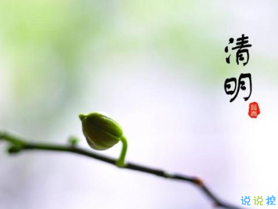 清明節(jié)說說心情短語帶圖片 2020清明節(jié)安康9