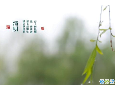 清明節(jié)說說心情短語帶圖片 2020清明節(jié)安康8