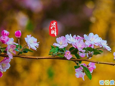 清明節(jié)說說心情短語帶圖片 2020清明節(jié)安康7