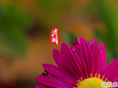 清明節(jié)說說心情短語帶圖片 2020清明節(jié)安康10