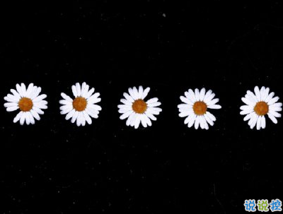 清明節(jié)說說心情短語帶圖片 2020清明節(jié)安康15