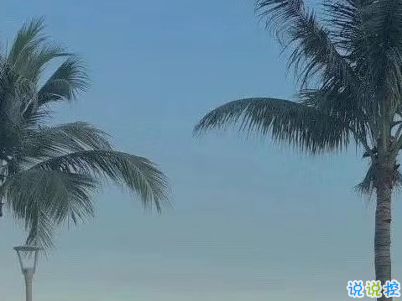 清明節(jié)說說心情短語帶圖片 2020清明節(jié)安康13