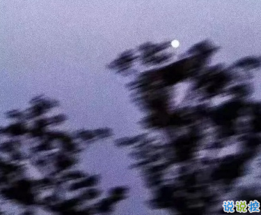 讓人失望心寒的說(shuō)說(shuō)2020最新 一句話表達(dá)內(nèi)心的疼痛2