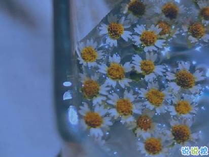 失望心涼的朋友圈說說好想哭 最讓人心涼的句子1