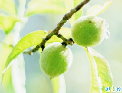 春暖花開的朋友圈說說 春天唯美說說短句2