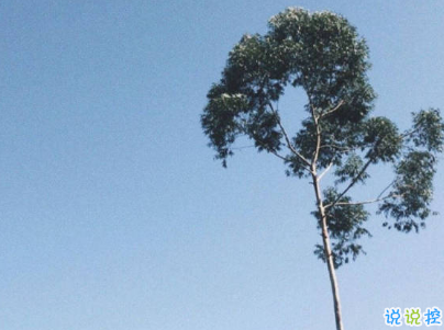 攢夠了失望的經(jīng)典句子 失望心疼自己的說說1