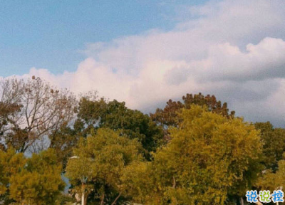 攢夠了失望的經(jīng)典句子 失望心疼自己的說說2