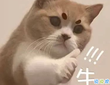 抖音搞笑說(shuō)說(shuō)讓人狂贊 很有趣吸引人的句子2