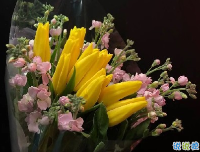 唯美傷感愛情說說 讓人想哭的文案關于愛情1