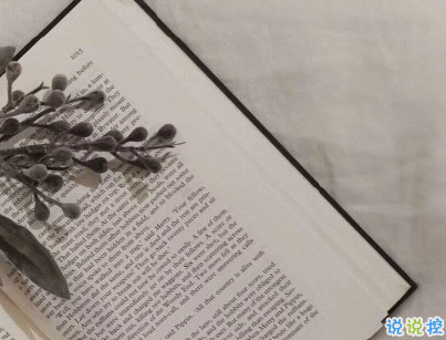 失戀心死的句子 一顆心空了的句子1