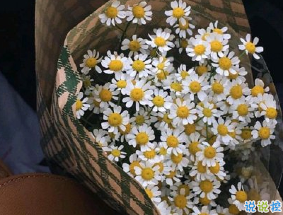 心靈雞湯語錄致自己 最新心靈雞湯句子帶圖片14