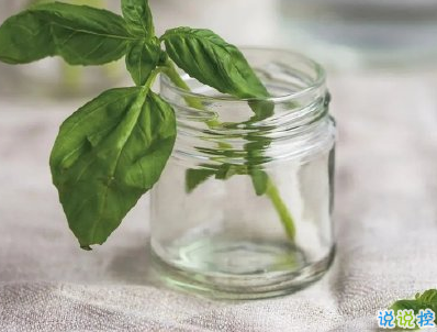 心靈雞湯語錄致自己 最新心靈雞湯句子帶圖片2