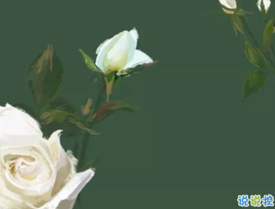 愛而不得悲傷文案 遺憾錯(cuò)過的感情句子配圖13