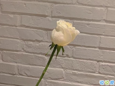 2020最暖情話留言短句 史上最撩人情話精選1